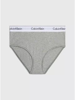 Spodné prádlo Dámske HW BIKINI 000QF6280E020 - Calvin Klein