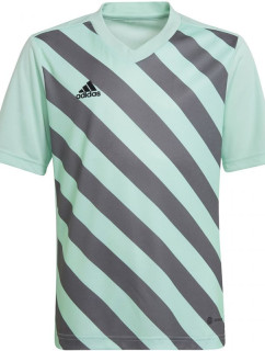 Entrada 22 Graphic Jersey Junior HF0127 tričko - Adidas