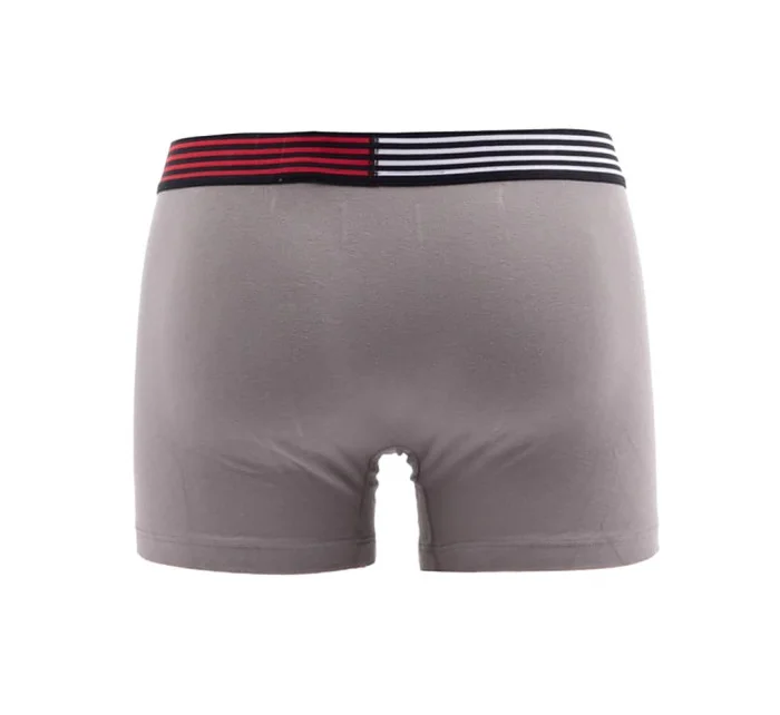Flex Trunk model 20946400 - Tommy Hilfiger
