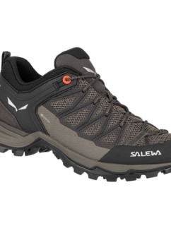 Dámská trekingová obuv  Trainer Lite GTX W model 16075312 - Salewa