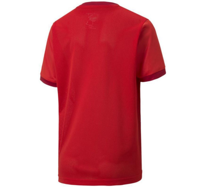 Puma teamGOAL 23 Jersey Jr 704160 01 tričko