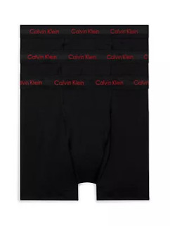 Pánska spodná bielizeň BOXER BRIEF 3PK 000NB2616ANC1 - Calvin Klein