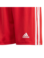 Dětské šortky Squadra 21 Short Youth Jr GN5761 - Adidas