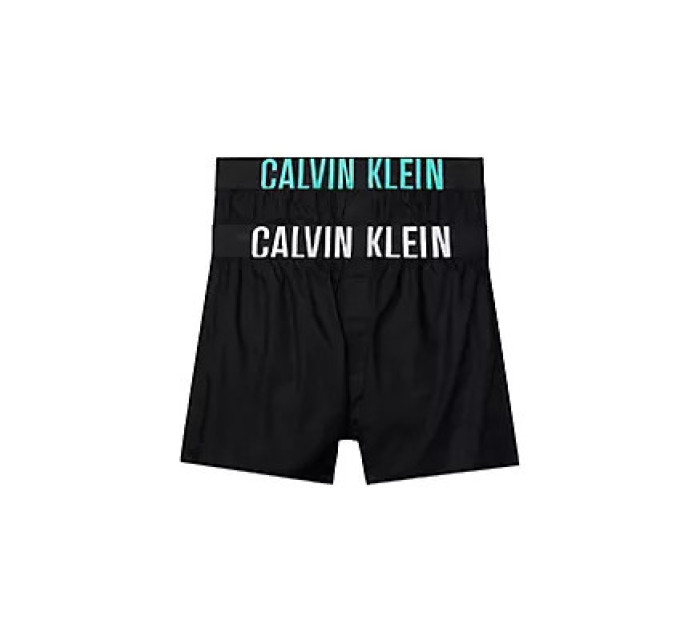 Pánska spodná bielizeň BOXER SLIM 2PK 000NB3833AMVL - Calvin Klein