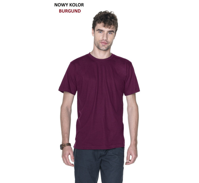 Pánské tričko Tshirt Heavy Slim  model 5889529 - PROMOSTARS