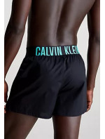 Pánska spodná bielizeň BOXER SLIM 2PK 000NB3833AMVL - Calvin Klein