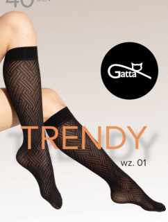 Dámske podkolienky TRENDYLINE KNEE SOCKS 40 - 01