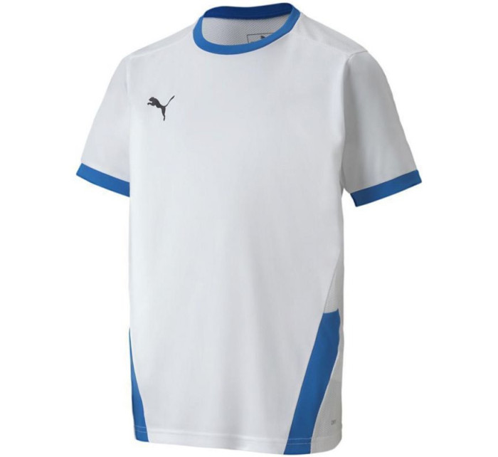 Puma teamGOAL 23 Jersey Jr 704160 12 tričko