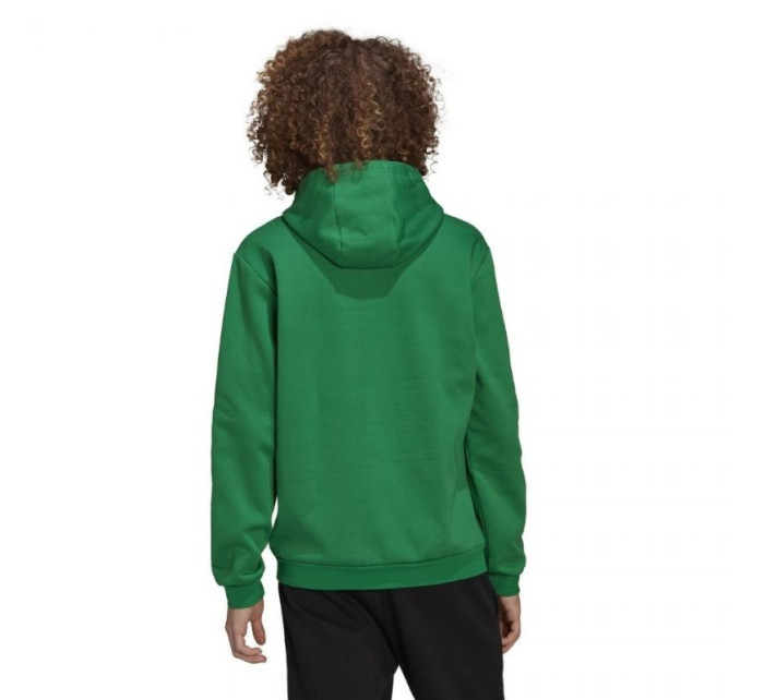 Pánská mikina Entrada 22 Sweat Hoodie M model 17271204 - ADIDAS