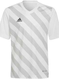 Entrada 22 Graphic Jersey Junior HF0120 tričko - Adidas