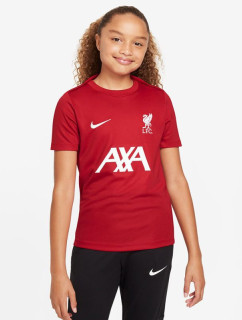 Nike Liverpool FC DF Academy Pro SS Top Jr Shirt FQ2753-688